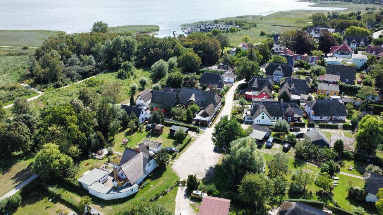 Toepferweg 06 Ferienwohnung Tine Ahrenshoop Eksteriør billede