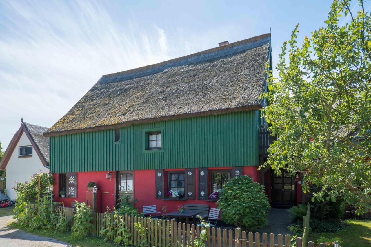 Toepferweg 06 Ferienwohnung Tine Ahrenshoop Eksteriør billede